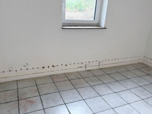 IMG 2401 referenzen