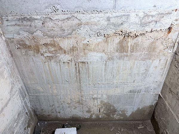 IMG 2462 Kopie referenzen