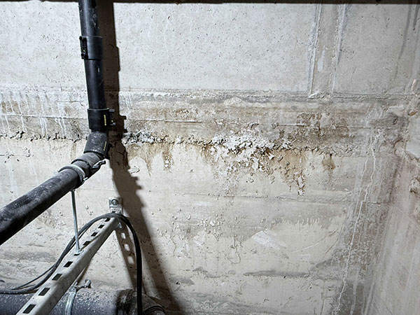 IMG 2464 Kopie referenzen