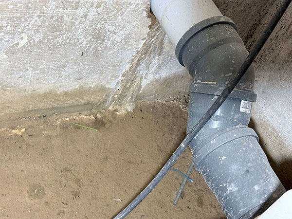 IMG 2468 Kopie referenzen