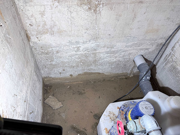 IMG 2469 Kopie referenzen