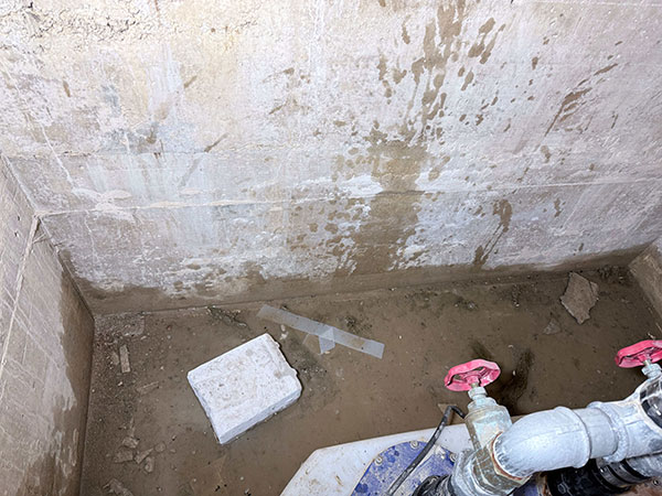 IMG 2470 Kopie referenzen